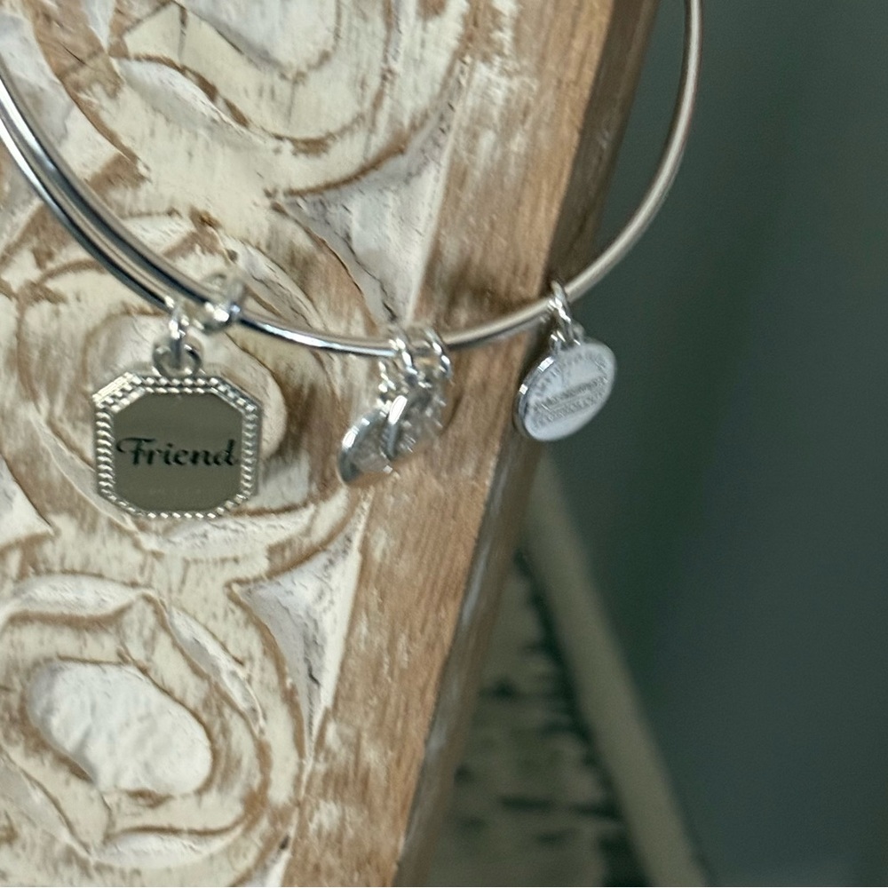 Alex and Ani Charm Bangle Silver Bracelet